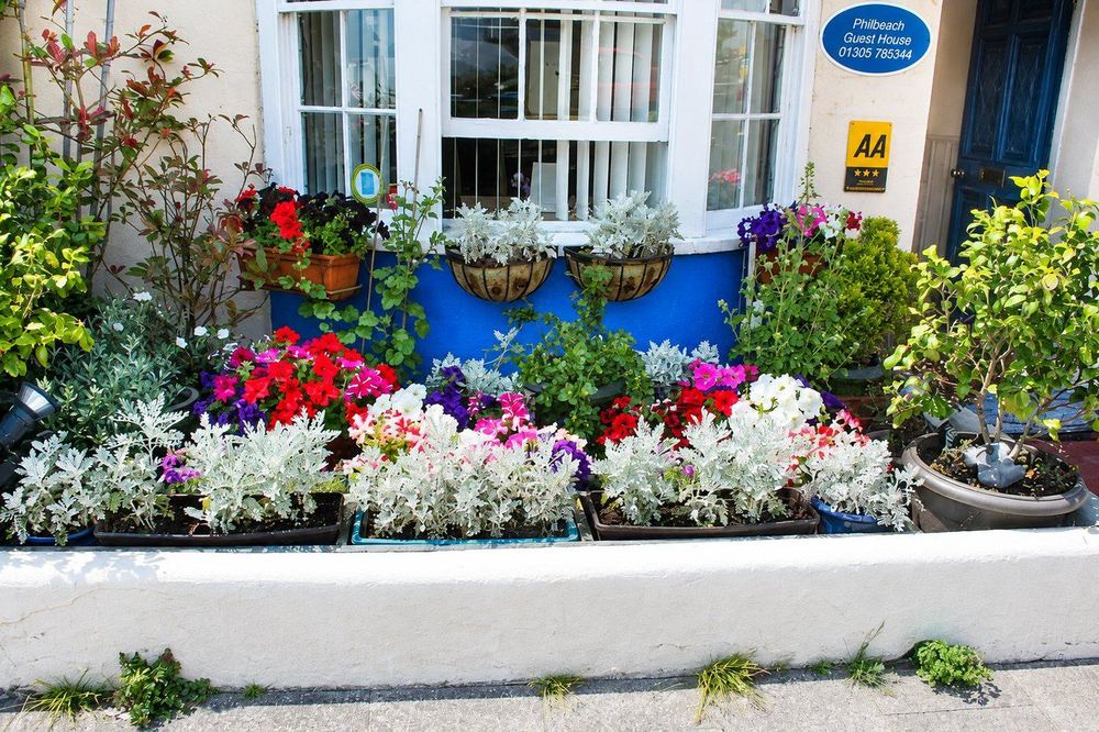 The front of Philbeach Guest House, with flowers and the house sign